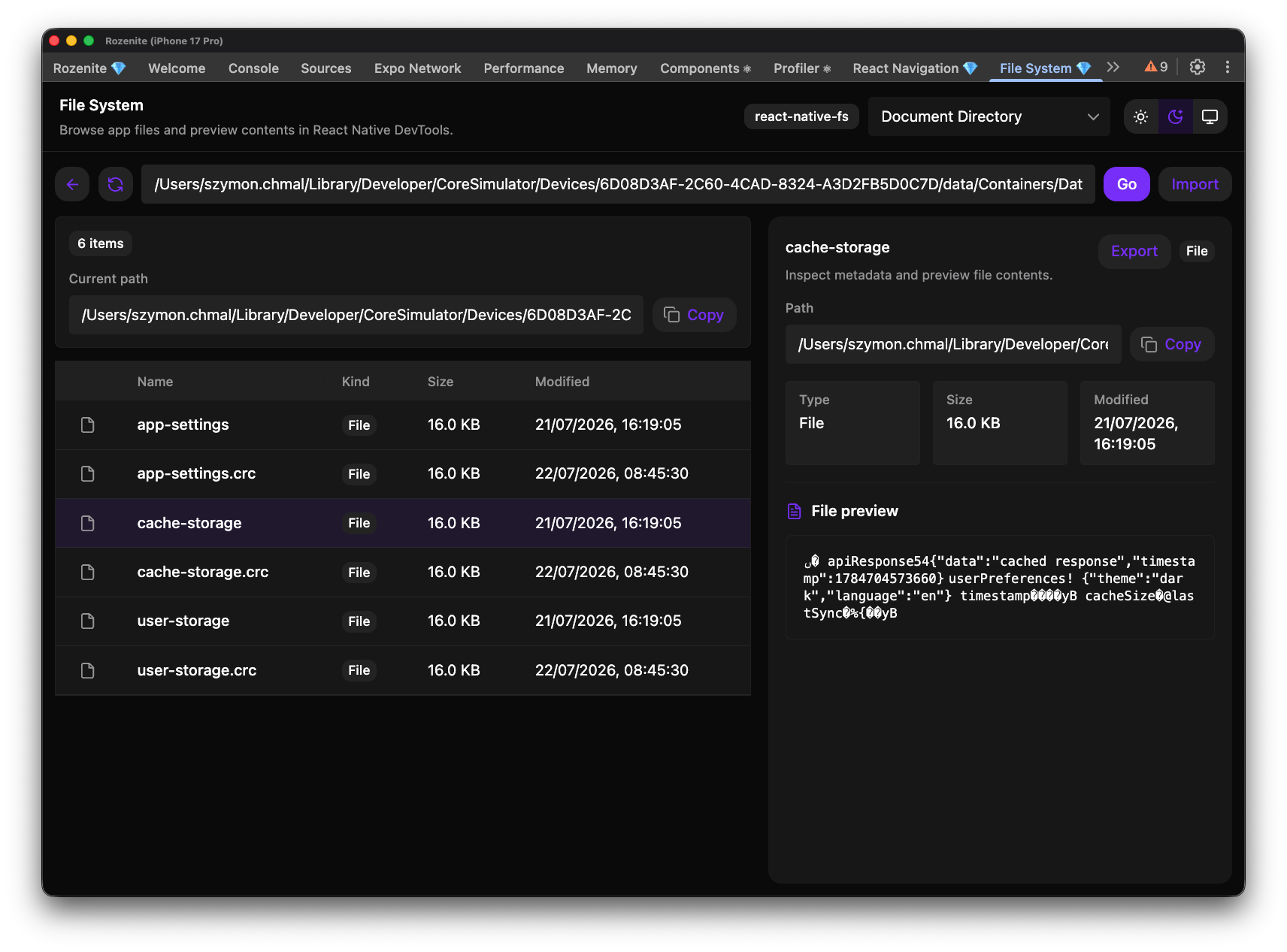 Rozenite File System panel showing app files and a selected file preview